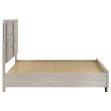 Farre Queen Upholstered Storage Platform Bed Washed Grey | Queen | Grey | Washed Grey / Light Grey | 225110Q