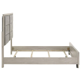Farre Queen Upholstered Platform Panel Bed Washed Grey | Queen | Grey | Washed Grey / Light Grey | 225111Q