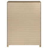 Etienne 5-drawer Bedroom Chest of Drawers Walnut | Brown | Walnut | 225125