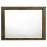 Doherty Rectangular Dresser Mirror Rustic Brown | Brown | Rustic Golden Brown | 225164