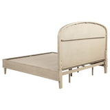 Lucaire Queen Upholstered Panel Bed Sandstone | Queen | Beige | Sandstone / Cream | 225181Q