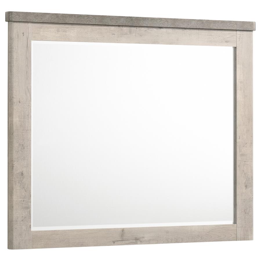 Untitled | Grey | Grey / Weathered Taupe | 225194