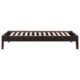 Hounslow Twin Universal Platform Bed Cappuccino | Brown | Cappuccino | 300555T