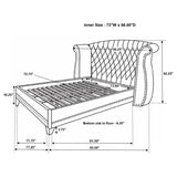 Barzini Upholstered California King Wingback Bed Black | Black | 300643KW