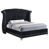 Barzini Upholstered Queen Wingback Bed Black | Queen | Black | 300643Q