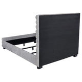Patricia 58-inch Boucle Upholstered Queen Bed Grey | King | Grey | 300719Q