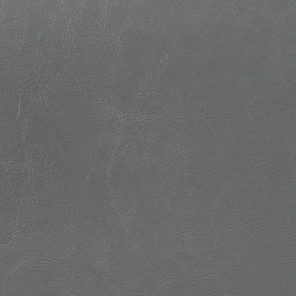 Savannah Faux Leather Upholstered Queen Panel Bed Grey