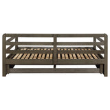 Sorrento 2-drawer Twin XL Daybed with Extension Trundle Grey | Full | Grey | 305706