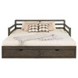 Sorrento 2-drawer Twin XL Daybed with Extension Trundle Grey | Full | Grey | 305706