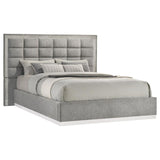Untitled | Grey | Grey / White High Gloss | 305770Q