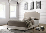 Tamarac Upholstered Queen Panel Bed Beige | Beige | 310061Q