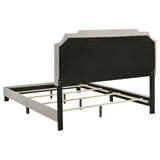 Tamarac Upholstered Queen Panel Bed Beige | Beige | 310061Q
