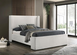 Alamosa Boucle Upholstered Queen Wingback Bed White | Queen | White | 310078Q