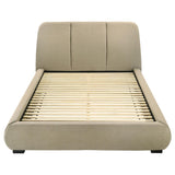Mokena 46-inch Upholstered Queen Platform Bed Brown | Queen | Brown | Light Brown | 310091Q