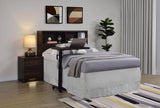Westpark 49-inch Full Bookcase Headboard Dark Pine | Brown | Dark Pine | 315881F