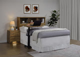 Westpark 49-inch Queen Bookcase Headboard Mango | Brown | Mango | 315901Q