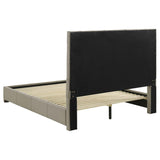 Medley Genuine Leather Queen Panel Platform Bed Tan | King | Beige | Tan | 315911TANQ