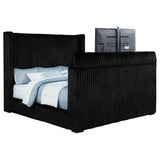 Centergrove Upholstered California King Wingback TV Bed Black | Black | 315945KW