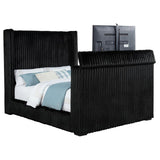 Centergrove Upholstered Queen Wingback TV Bed Black | Queen | Black | 315945Q
