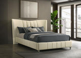 Evelyn Upholstered Queen Panel Platform Bed Ivory | Queen | Ivory | 315956Q