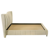 Evelyn Upholstered Queen Panel Platform Bed Ivory | Queen | Ivory | 315956Q