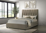 Delsea Upholstered Queen Panel Platform Bed Light Brown | Queen | Brown | Light Brown | 315975Q