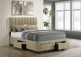 Wheatland 4-drawer Upholstered Full Storage Bed Light Brown | Full | Brown | Light Brown | 316010F