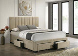 Wheatland 4-drawer Upholstered Queen Storage Bed Light Brown | Brown | Light Brown | 316010Q