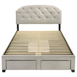 Marianna 4-drawer Upholstered Queen Storage Bed Cream | Ivory | Cream | 316011Q