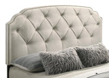 Marianna 4-drawer Upholstered Queen Storage Bed Cream | Ivory | Cream | 316011Q
