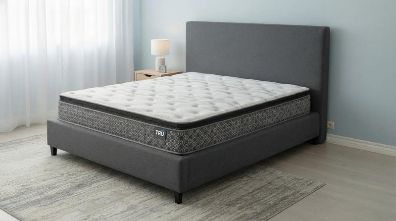 Hayes 11-inch Pillow Top Foam Hybrid Mattress