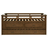 Carlsbad Wood Twin Captains Bed With Trundle Medium Brown | Twin | Brown | Medium Brown | 400716T