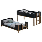 Morris Twin Over Twin Wood Bunk Bed Black and Walnut | Full | Brown | Walnut / Black | 460369