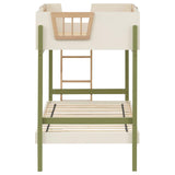 Untitled | White | Off White / Natural / Olive | 460620