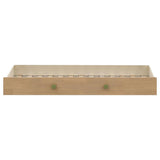 Untitled | White | Off White / Natural / Olive | 460622