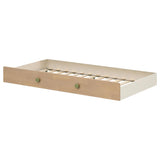Untitled | White | Off White / Natural / Olive | 460622