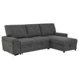 Demko Sleeper Sectional Sofa with Speaker and Storage Chaise Granite | Grey | Granite | 500355