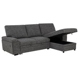Demko Sleeper Sectional Sofa with Speaker and Storage Chaise Granite | Grey | Granite | 500355