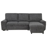 Demko Sleeper Sectional Sofa with Speaker and Storage Chaise Granite | Grey | Granite | 500355