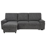 Demko Sleeper Sectional Sofa with Speaker and Storage Chaise Granite | Grey | Granite | 500355