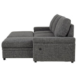 Demko Sleeper Sectional Sofa with Speaker and Storage Chaise Granite | Grey | Granite | 500355
