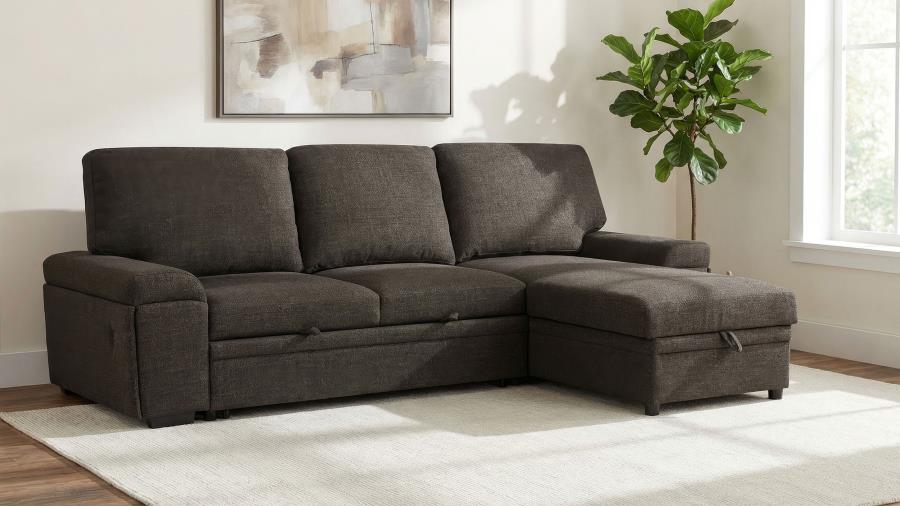 Demko Sleeper Sectional Sofa with Speaker and Storage Chaise Brown | Brown | 500356