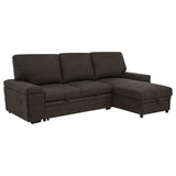 Demko Sleeper Sectional Sofa with Speaker and Storage Chaise Brown | Brown | 500356