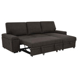 Demko Sleeper Sectional Sofa with Speaker and Storage Chaise Brown | Brown | 500356