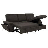 Demko Sleeper Sectional Sofa with Speaker and Storage Chaise Brown | Brown | 500356