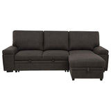 Demko Sleeper Sectional Sofa with Speaker and Storage Chaise Brown | Brown | 500356