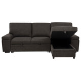 Demko Sleeper Sectional Sofa with Speaker and Storage Chaise Brown | Brown | 500356