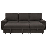 Demko Sleeper Sectional Sofa with Speaker and Storage Chaise Brown | Brown | 500356
