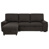 Demko Sleeper Sectional Sofa with Speaker and Storage Chaise Brown | Brown | 500356