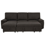 Demko Sleeper Sectional Sofa with Speaker and Storage Chaise Brown | Brown | 500356
